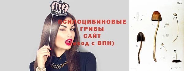 дживик Абаза